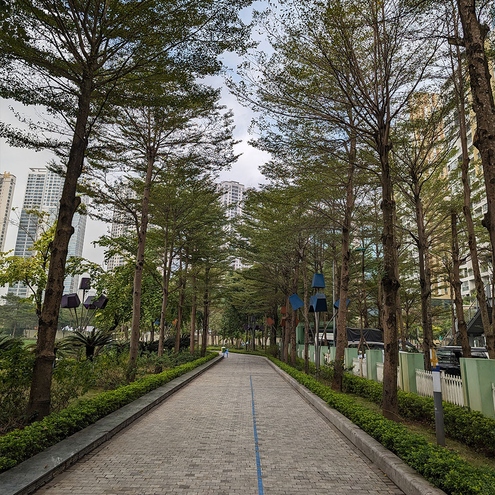Pixel 8 Pro