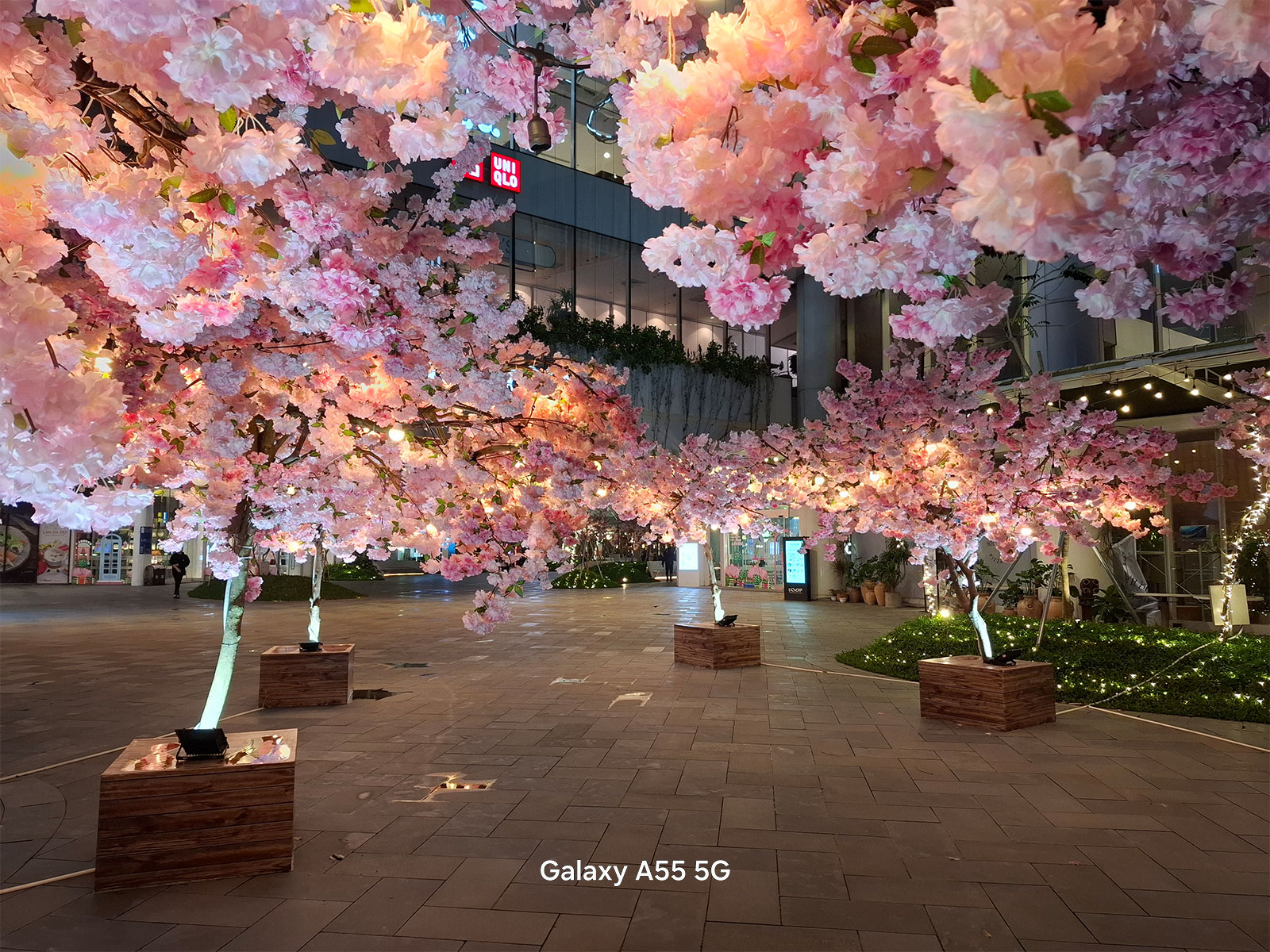 Galaxy A55