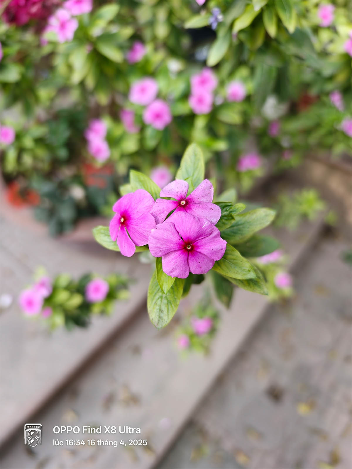 OPPO Find X8 Ultra