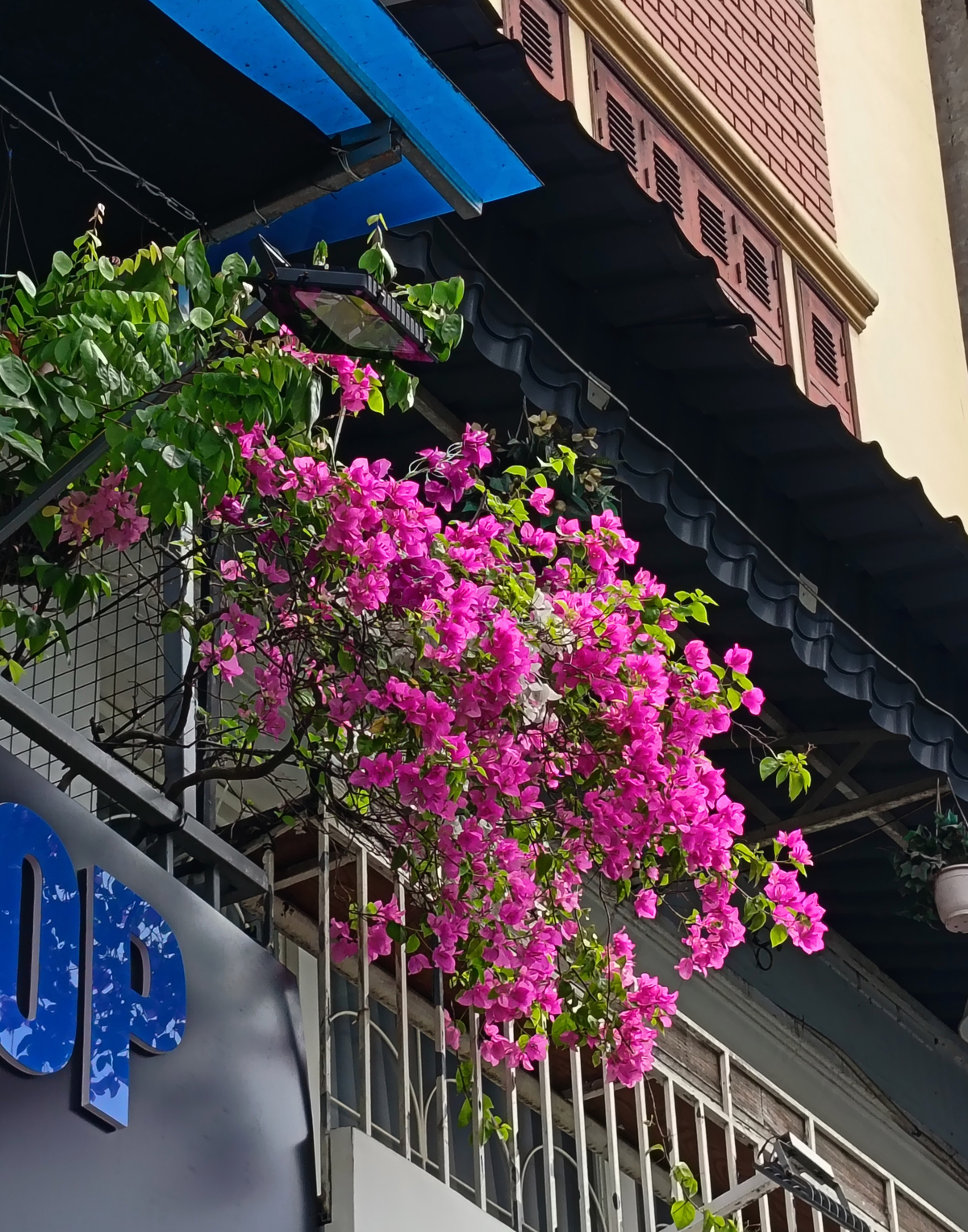HONOR 400 Lite