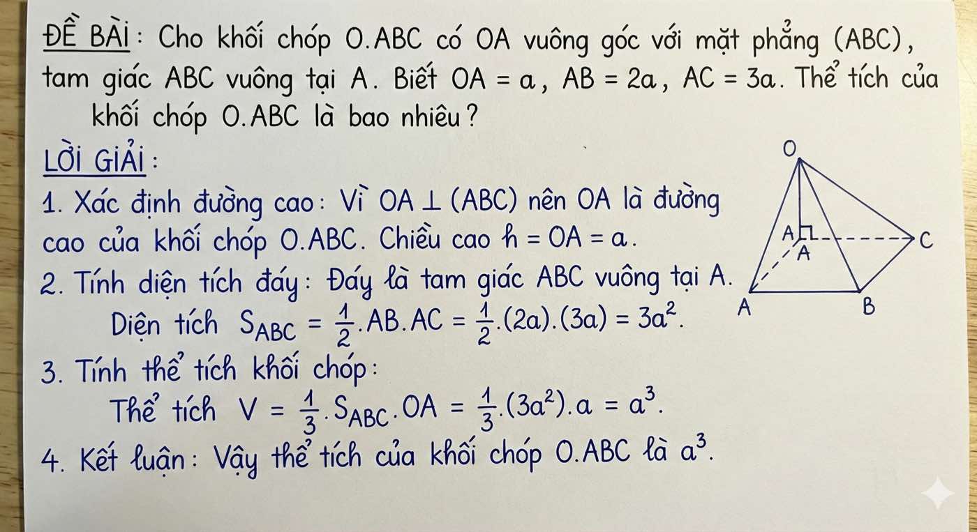 Đáp án